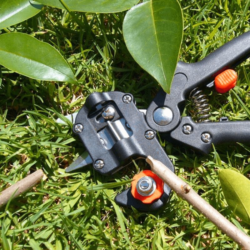 Professional Garden Grafting Tool - Home Essentials Store Retail